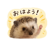 844340433