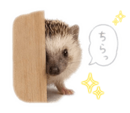 844340446