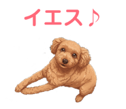 844340791