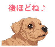 844340803