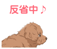 844340807