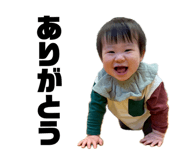 844341068