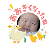 844341520