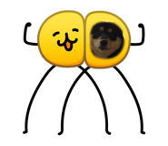 844341633