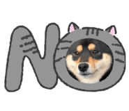 844341637