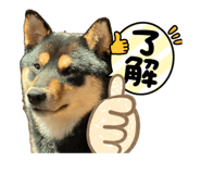 844341638