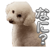 844342138