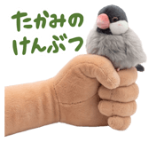 844342229