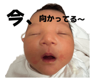 844342257