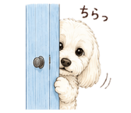 844342405