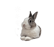 844342714