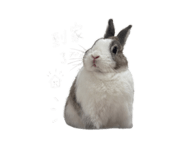 844342718
