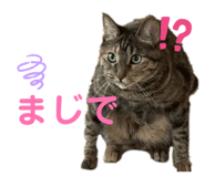 844343333