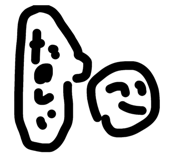 844343502