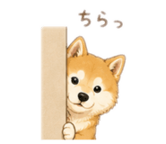 844343565