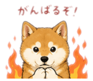 844343566