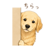 844343743