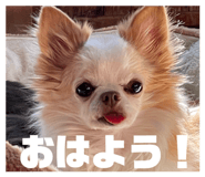844343930