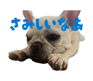 844343988