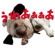 844343989