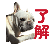 844343995