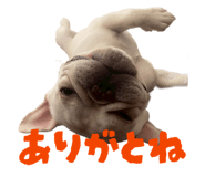 844343996