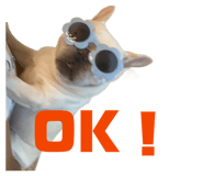 844343999