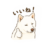 844344003