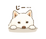 844344008