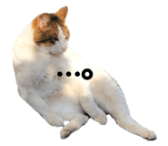 844344034
