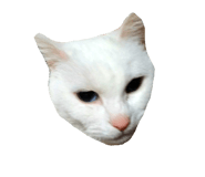 844344039