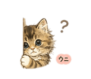 844344120