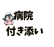 844345080