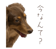 844349202