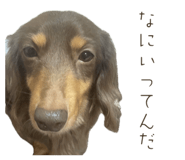 844349203