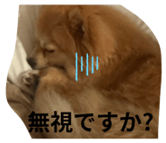 844349430