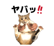 844349461