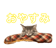 844349469
