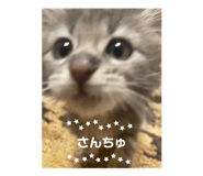 844349477