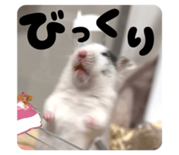 844349568