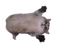 844349675