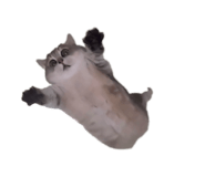 844349676