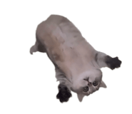 844349677