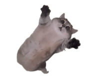 844349678