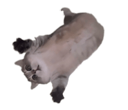 844349680