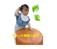 844350018