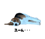 844350614