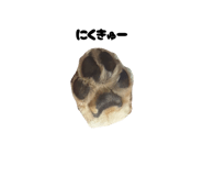 844350619