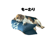 844350621