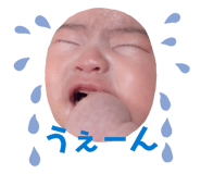 844350823